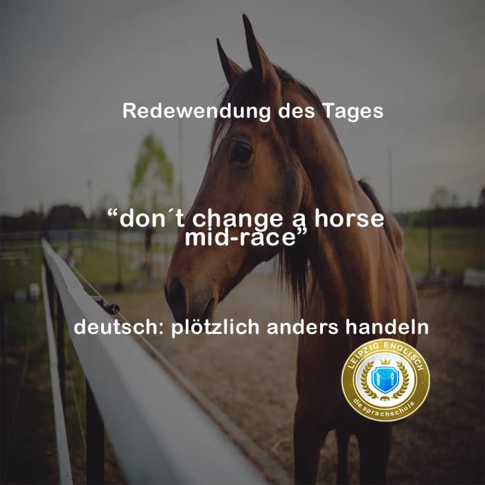 english idiom, horse mid-race