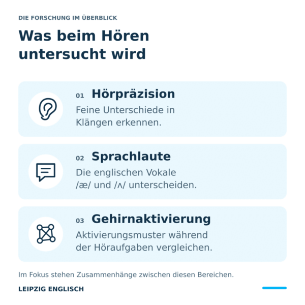 forschung-hoerverstehen-englisch Grafik zu drei Bereichen der Studie: Hörpräzision, Unterscheidung englischer Vokale und Gehirnaktivierung während der Höraufgaben.